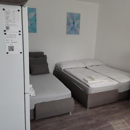 Angel Apartman Нове-Место-над-Метуйи Экстерьер фото