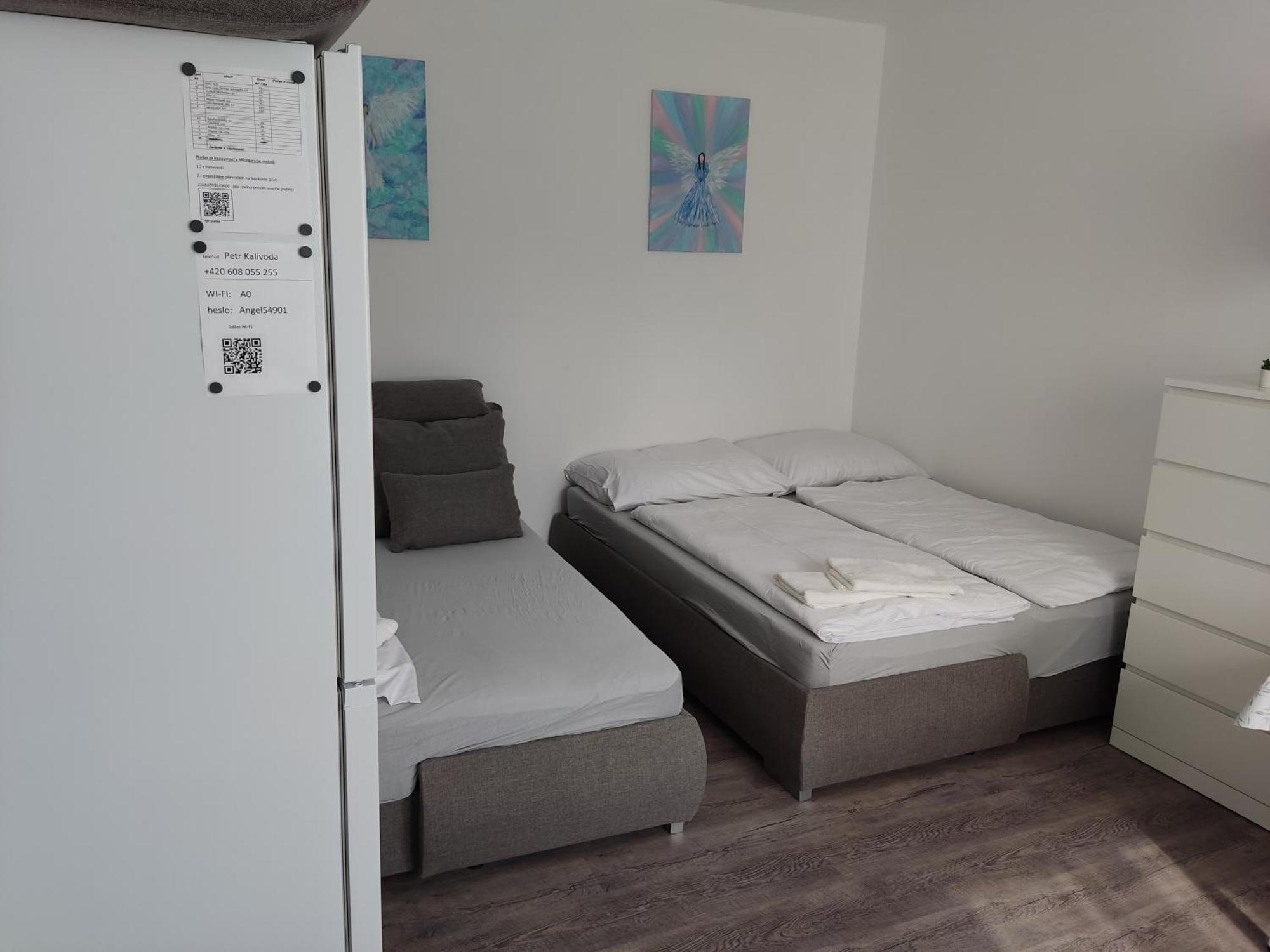 Angel Apartman Нове-Место-над-Метуйи Экстерьер фото